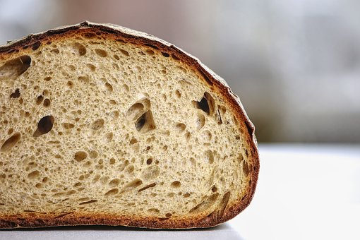 brood.jpg