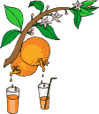 orangejuice.gif
